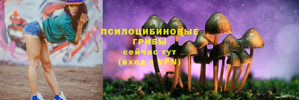 дурь Богородск