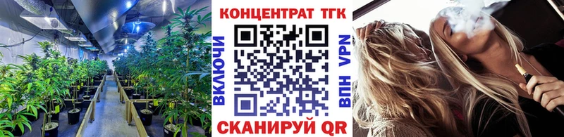 ТГК THC oil  Кизилюрт 