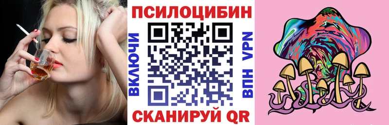 Галлюциногенные грибы Psilocybine cubensis Кизилюрт